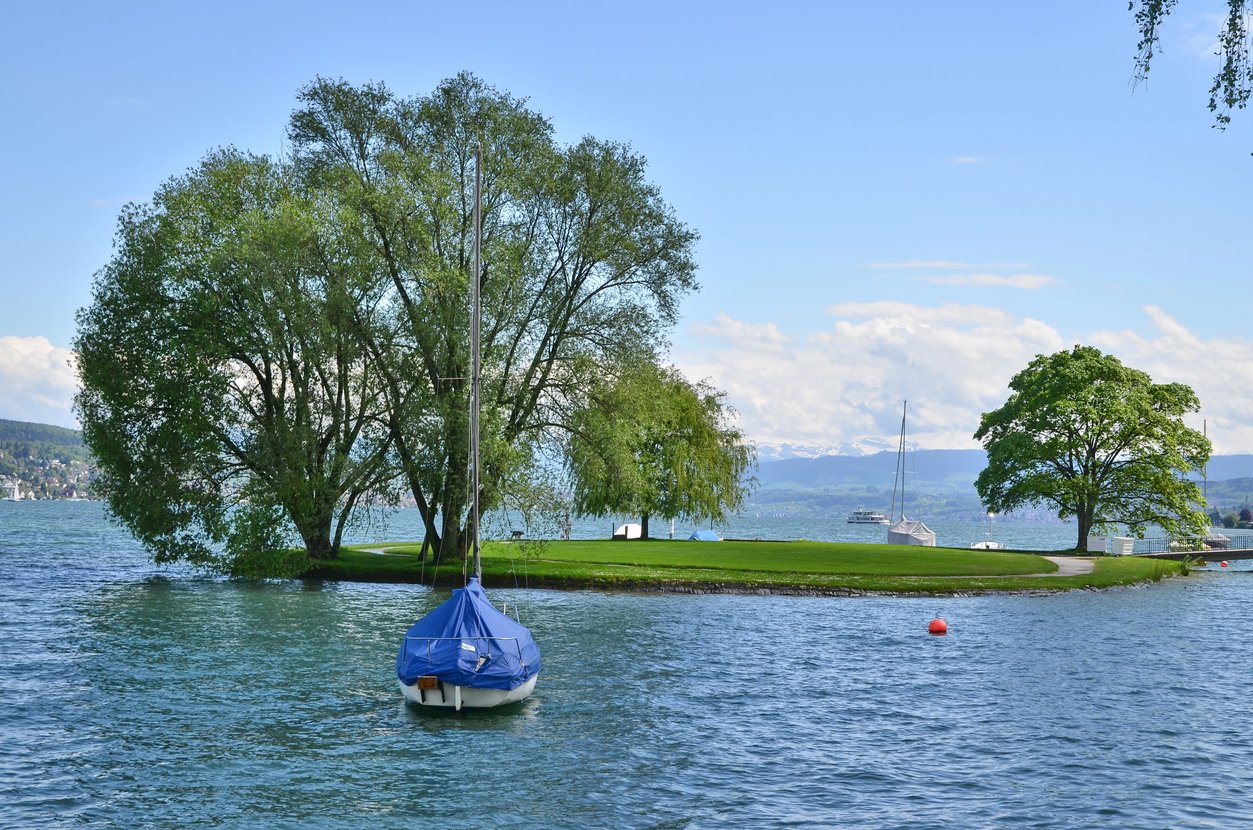 Featured image of post Friday grill at Zürisee